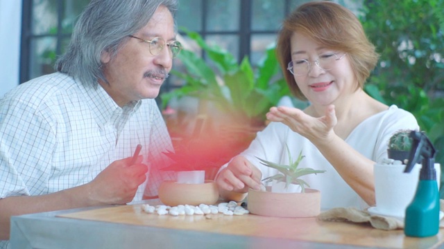 亚洲老夫妇在家里享受照顾室内植物花园。视频素材