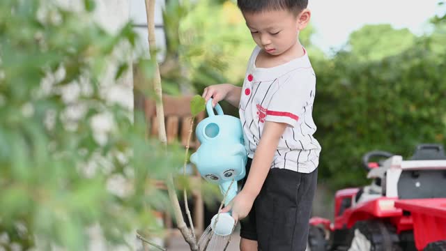 可爱的小男孩在树上浇水。视频下载