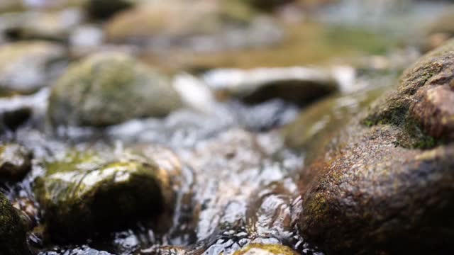 一个小溪流的特写视频与少量的纯净的山涧流水过土壤和秋天的树叶。视频素材