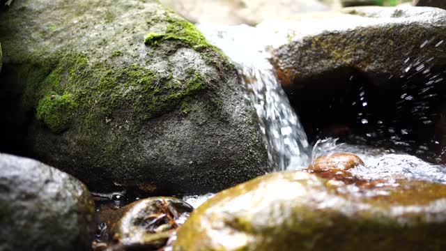 一个小溪流的特写视频与少量的纯净的山涧流水过土壤和秋天的树叶。视频素材