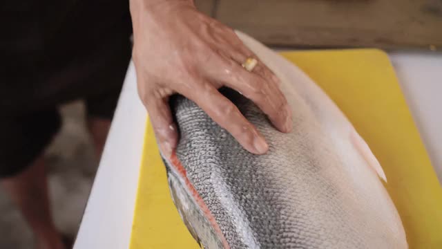 日本厨师准备新鲜的鲑鱼。视频下载