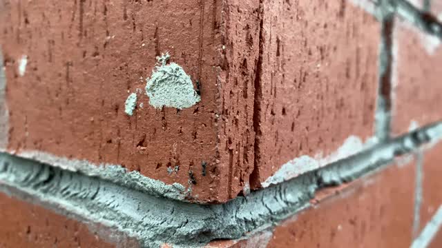蚂蚁在砖墙的边缘。视频素材