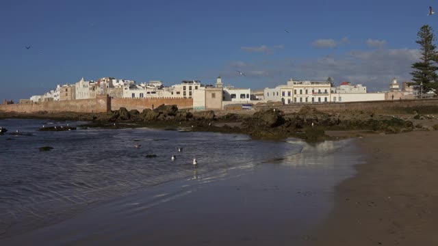 摩洛哥有城墙的埃绍伊拉城和海鸥视频素材