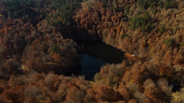 叶迪戈勒在秋天，鸟瞰图，鸟瞰图在秋天的湖，视频素材