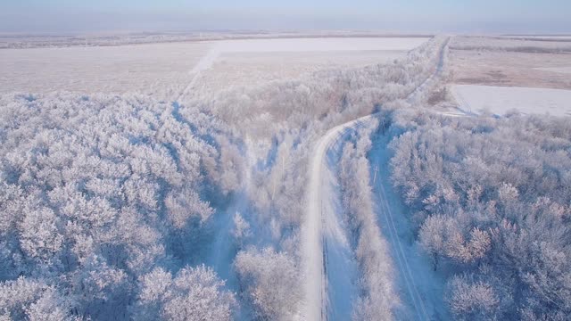 冰雪覆盖的森林是冬天的景观视频素材