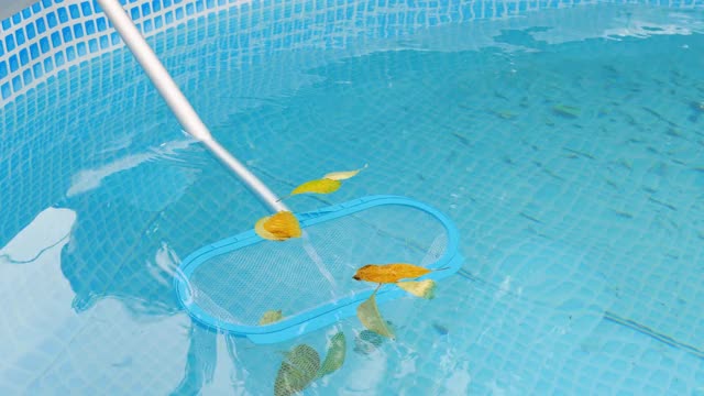 用网眼滤网清洗游泳池。长长的网用来清除水面上有颜色的叶子视频下载