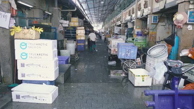 中国广州水产市场。视频素材