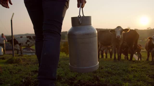 扛着一桶牛奶穿过牧场的农民视频素材