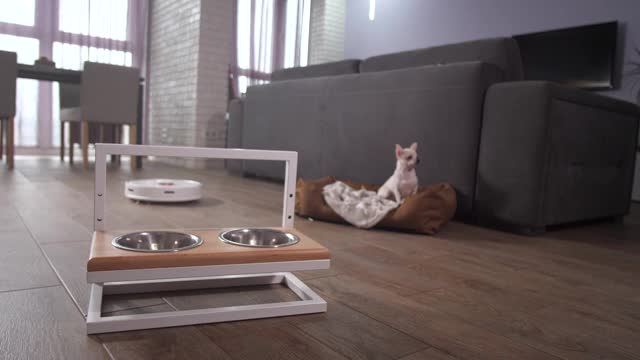 机器人真空吸尘器在公寓工作视频素材