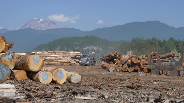 宽，原木和一辆卡车，不列颠哥伦比亚省视频素材