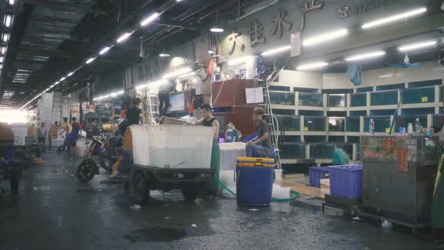 中国广州水产市场。视频下载