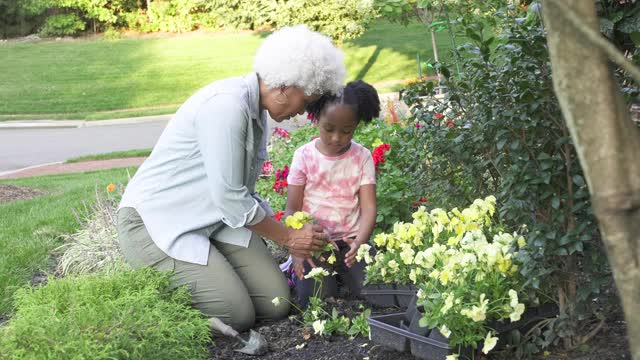 祖母和孙子在园艺视频素材