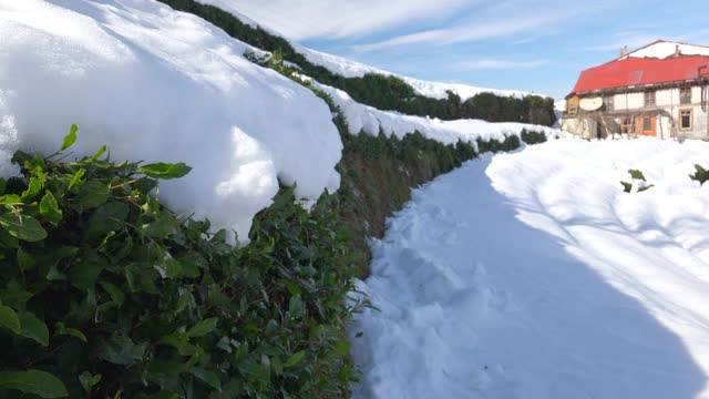 绿茶田里的雪和传统村舍视频素材