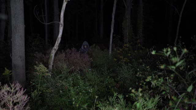 一个可怕的老妇人在黑暗的森林里走近。视频素材
