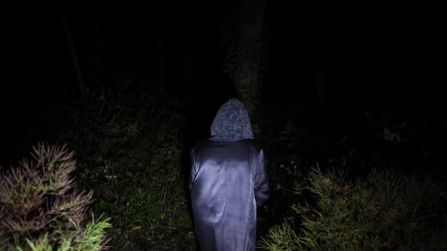 老巫婆走在黑暗阴森的森林里。视频素材