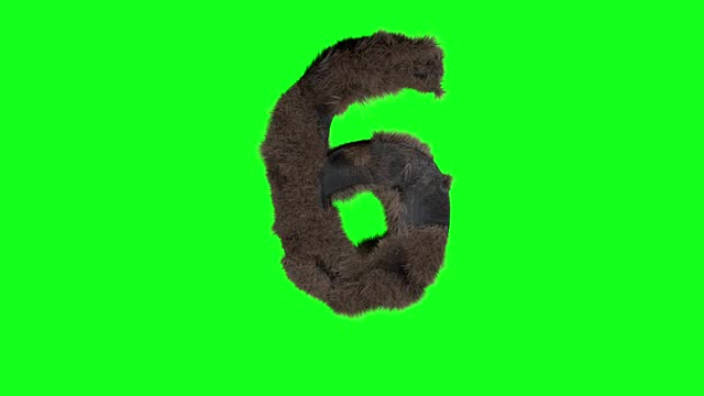 抽象毛数字6 6标志毛茸茸的数字绿色屏幕色度键动画3d视频下载