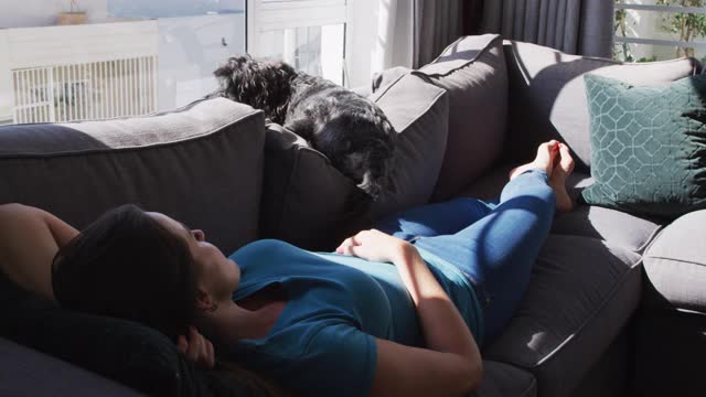 一个白人女人躺在沙发上，狗在打盹视频下载