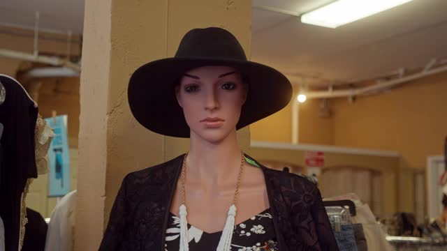 旧货店女人体模型视频下载
