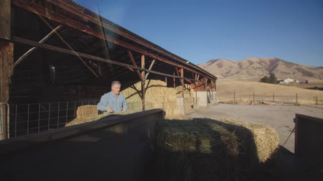 一位长者正在把干草捆放进他的卡车里视频素材
