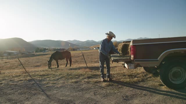 牧场主在他的古董小货车后面休息视频素材