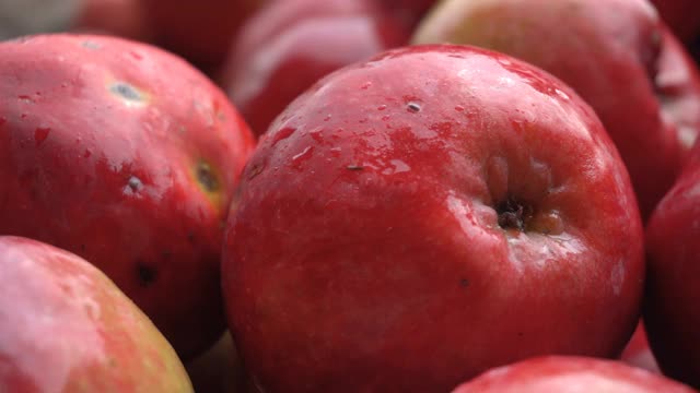 秋天是苹果收获的季节，在农场上，红苹果特写。视频素材