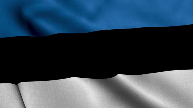 爱沙尼亚缎旗。飘扬的织物纹理的国旗的爱沙尼亚，真实的纹理飘扬的国旗的爱沙尼亚。视频素材