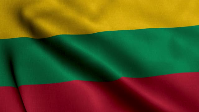立陶宛缎旗。飘扬的立陶宛国旗的织物纹理，真实的纹理飘扬的立陶宛国旗视频素材