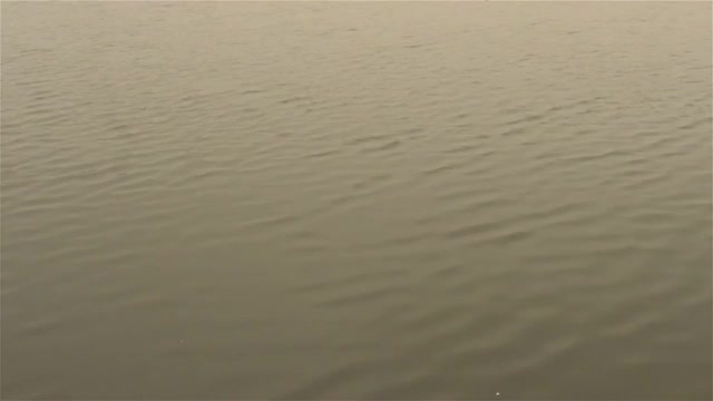 湖,平视角,纯净,简单视频素材