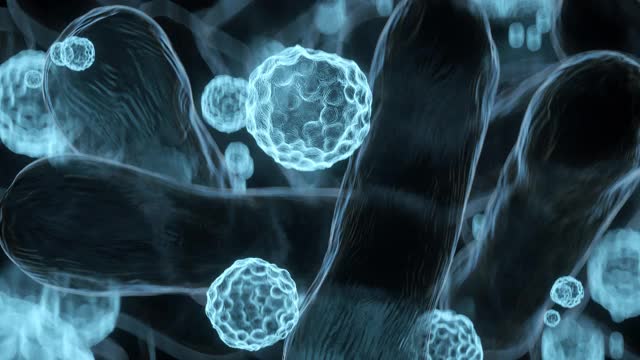 3d显微镜下的蓝色细菌特写视频素材