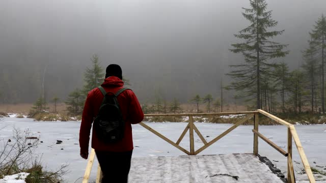 一名男子在松树林中与他的狗散步，拍摄美丽的冰冻山湖视频下载
