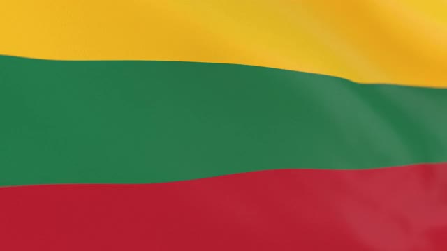 立陶宛的旗帜视频下载