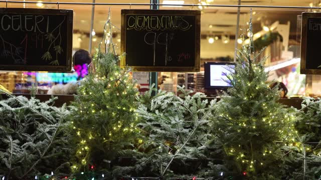 蒙特利尔商店门前装饰圣诞城市场景视频下载