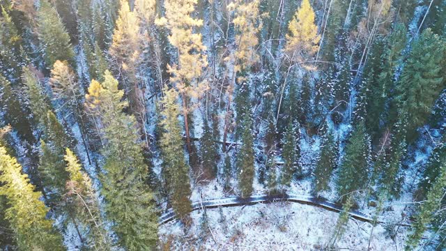 雪中的新疆视频下载