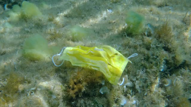 用过的黄色医用口罩躺在被海藻覆盖的底部。新冠肺炎正在加剧污染，废弃的口罩和塑料垃圾一起污染海洋视频下载