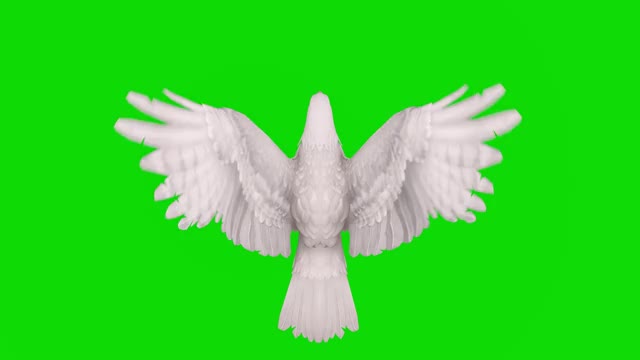 绿色屏幕上的白鹰飞行动画。概念动物、野生动物、游戏、返校、3d动画、短视频、电影、卡通、有机、色度键、角色动画、设计元素、可循环视频素材