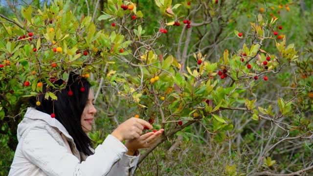 年轻女子摘了长在山上的杨梅草莓视频素材