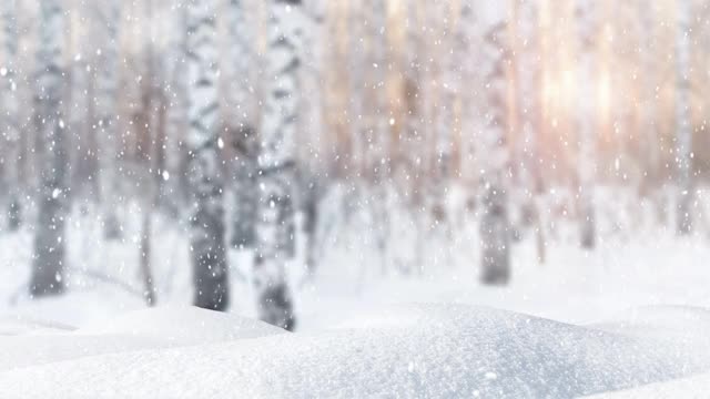 飘落的新雪在一片结霜的森林模糊的背景上。视频素材