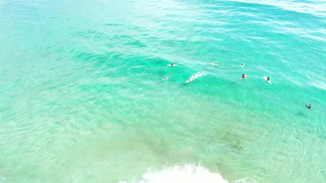 从无人机角度拍摄的黄金海岸清澈海水上的4k视频，人们在冲浪视频下载