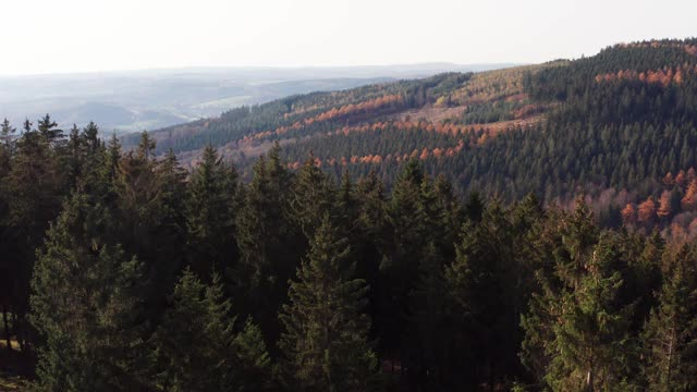 德国德国的森林山脉视频下载