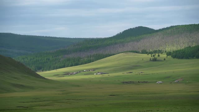 蒙古包帐篷的森林草原在蒙古视频素材