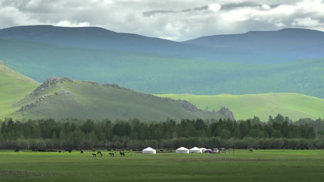 蒙古包帐篷，马和动物在蒙古地理大山谷视频素材