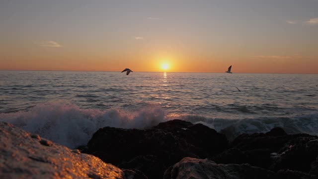 巨大的海洋日落。燃烧的天空，金色的海浪拍打着岩石。日落海4 k。海鸥在飞翔。红色的天空，黄色的太阳和惊人的海洋。夏日夕阳海景。缓慢的运动。视频素材