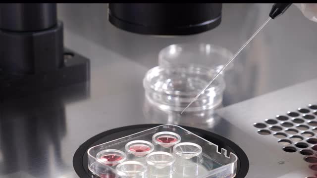 胚胎低温保存，胚胎学家在胚胎低温保存准备过程中使用亮片吸管的实验室操作。将胚胎从低温保护剂中移出。4 k的视频视频下载