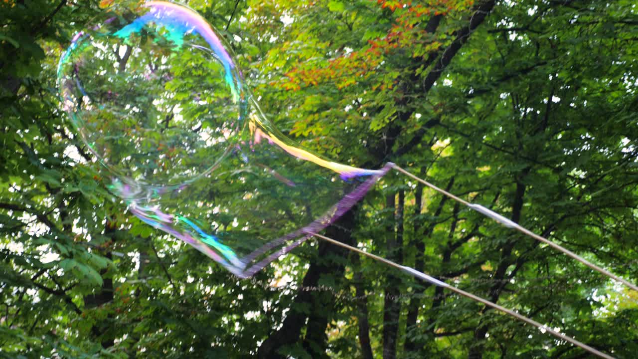 绿树上的大肥皂泡。五颜六色的泡泡在公园的空中飞舞，树木为背景。轻盈、脆弱、无忧无虑的概念。辐射长肥皂泡吹户外视频素材