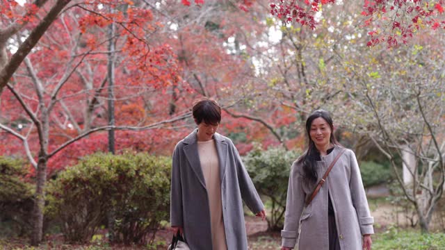 日本女性朋友走在秋叶下视频下载