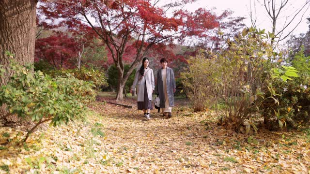 日本女性朋友在秋天徒步旅行视频下载