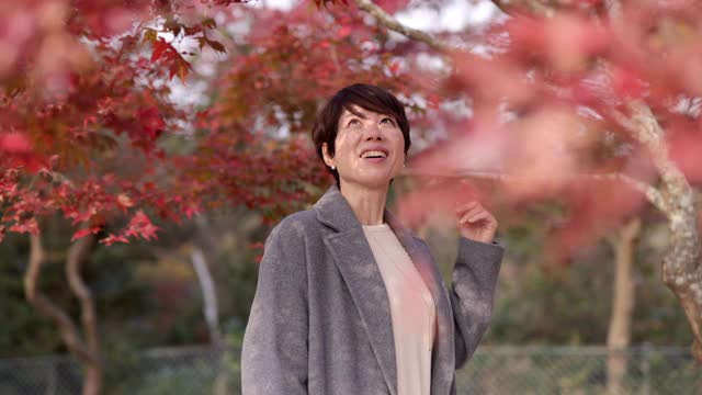 日本女人看日本枫树在秋天视频下载