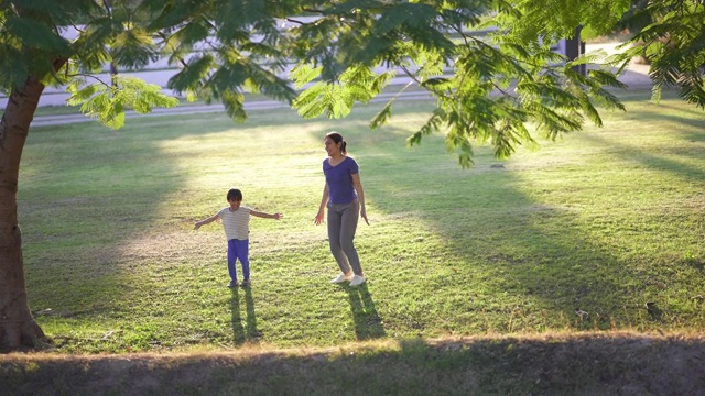 妈妈和儿子在公园里跳杰克。视频素材
