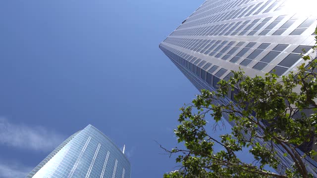 在蓝色天空的映衬下，洛杉矶市中心的摩天大楼。相机从底部向上看。前景是一棵绿色的树。视频素材