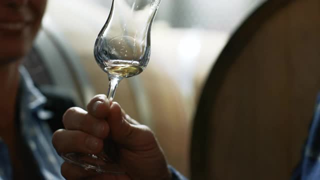 意大利葡萄采摘后的葡萄酒品尝视频素材
